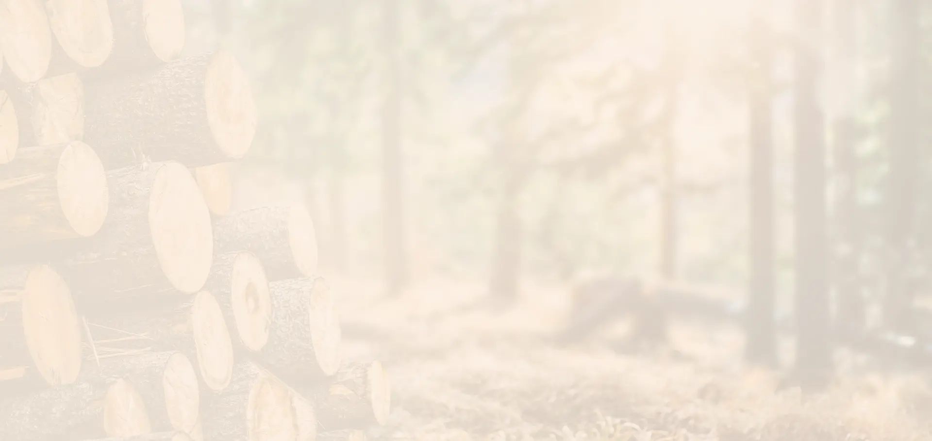 Le bois, la premiere energie renouvelable